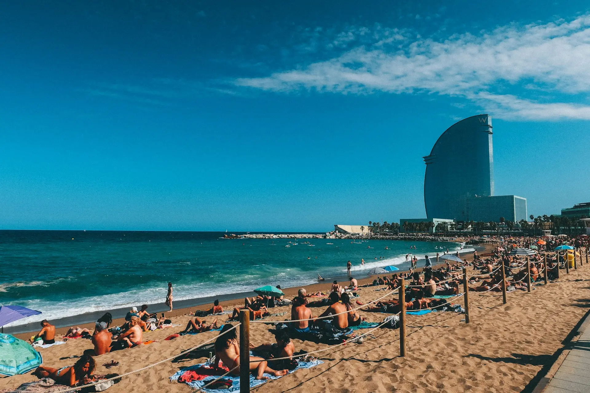 people on beach during daytime